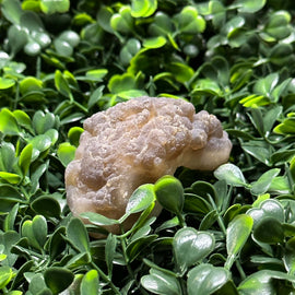 What Is a Witches Wart Stone? The Strange Gem Nobody Can Stop Talking About