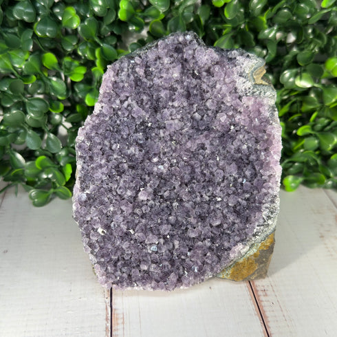 Amethyst Geode Cut Base 3.5" x 4.25"