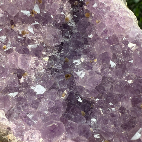 Amethyst-Goethite Geode—3.25" Self-Standing Wonder
