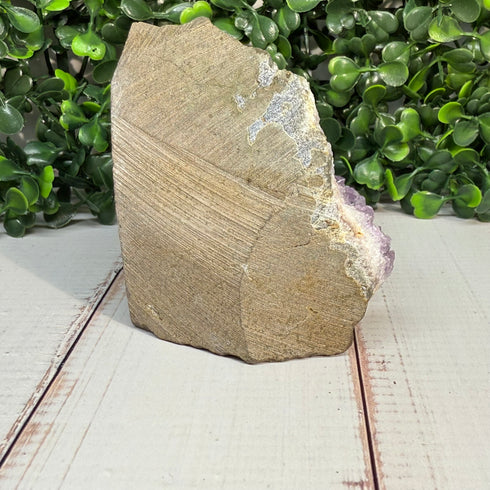 Amethyst-Goethite Geode—3.25" Self-Standing Wonder