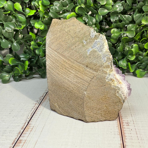 Amethyst-Goethite Geode—3.25" Self-Standing Wonder