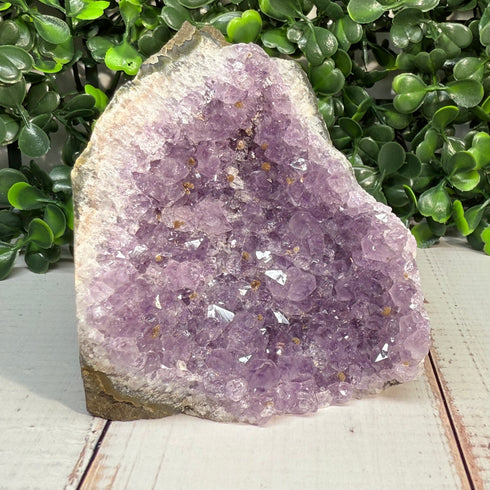 Amethyst-Goethite Geode—3.25" Self-Standing Wonder