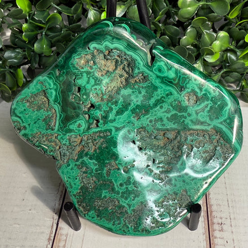 3.5" x 3" Malachite Slab—Polished & Natural
