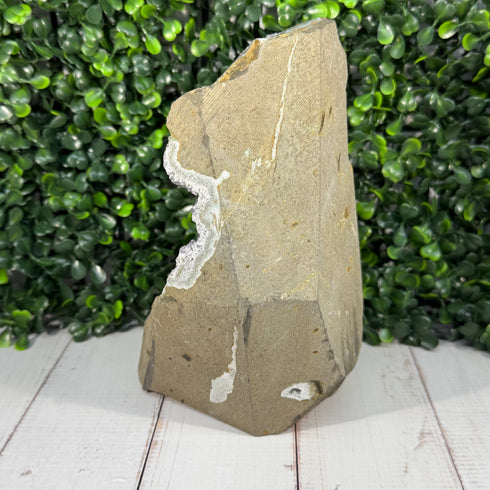 Large 7" Amethyst Crystal Geode Portal with Multiple Calcites