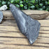 Black Partial Megalodon Fossil Tooth - 4"