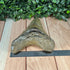 Authentic Megalodon Tooth Fossil - Large 4.75" Collectible Shark Tooth