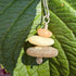 Cape May Diamond Raw Stone Stacker Necklace with Smoky Quartz 925 Sterling Silver 16" Cape May Jewelry