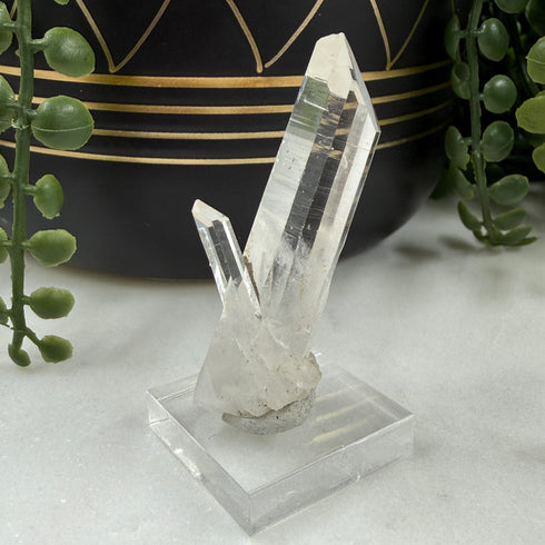 Clear Quartz Point with Side Crystal | Meigu, Sichuan China 2" Crystals and Minerals