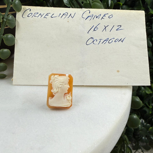 Confessions: 16x12 Hand-Carved Shell Cameo – Octagon Lady with Floral Detail Gems