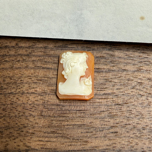 Confessions: 16x12 Hand-Carved Shell Cameo – Octagon Lady with Floral Detail Gems