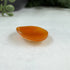 Confessions: 18x13 Hand-Carved Shell Cameo – Carnelian Lady Portrait Gems