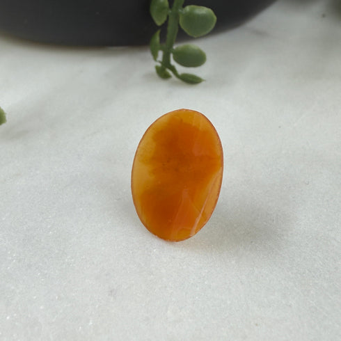 Confessions: 18x13 Hand-Carved Shell Cameo – Carnelian Lady Portrait Gems
