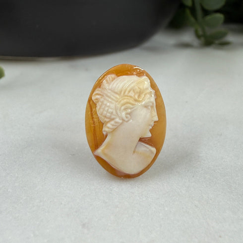 Confessions: 18x13 Hand-Carved Shell Cameo – Carnelian Lady Portrait Gems
