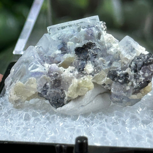 Fluorite - Yindu Mine, Inner Mongolia, China specimen