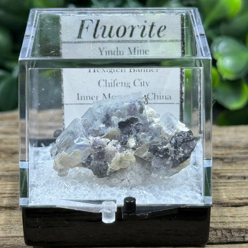 Fluorite - Yindu Mine, Inner Mongolia, China specimen