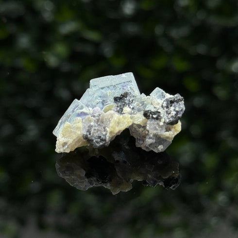 Fluorite - Yindu Mine, Inner Mongolia, China specimen