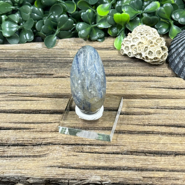 Kyanite and Quartz Polished Stone specimen
