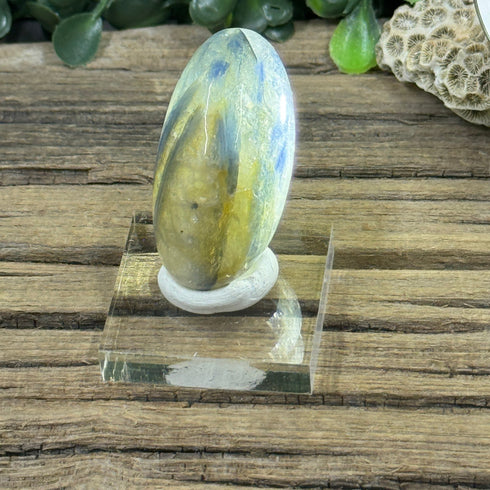 Kyanite and Quartz Polished Stone specimen