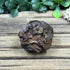 Prophecy Stone - Natural Limonite/Hematite Pseudomorph for Meditation and Spiritual Growth specimen