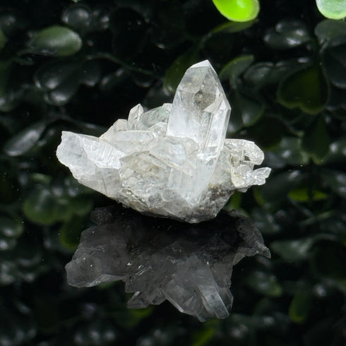 Quartz Cluster Namibia Streep Mine specimen
