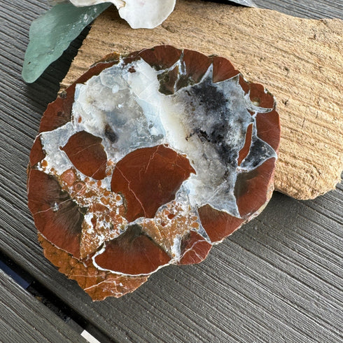 Thunder Egg Geode Brechiated specimen