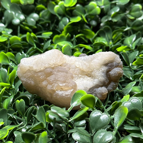 Witch’s Wart Chalcedony Specimen specimen