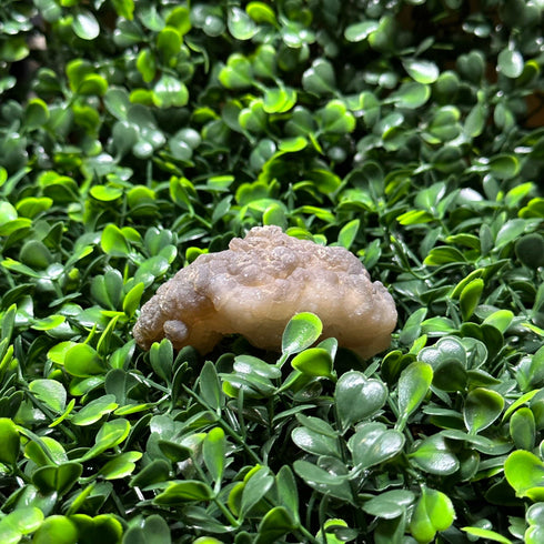 Witch’s Wart Chalcedony Specimen specimen