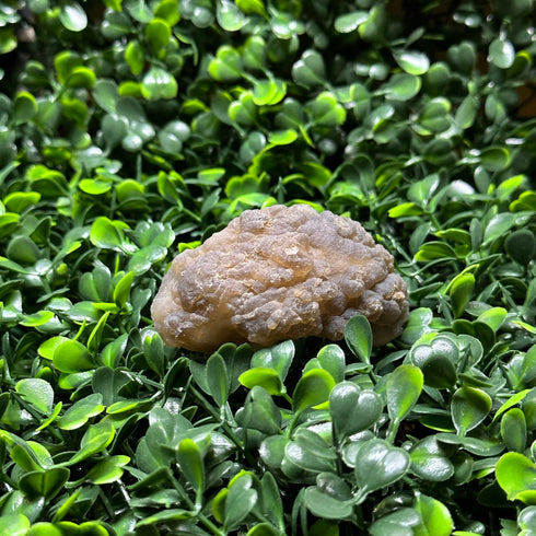 Witch’s Wart Chalcedony Specimen specimen