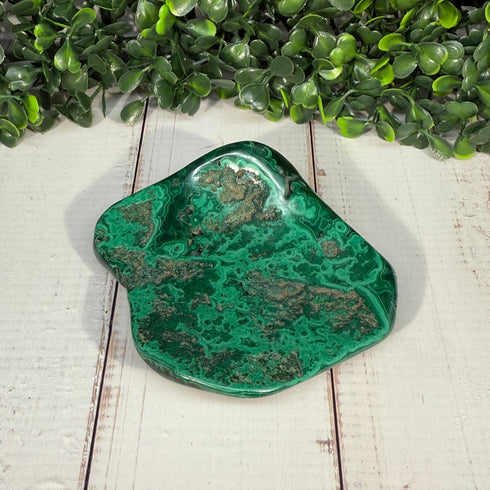 3.5" x 3" Malachite Slab—Polished & Natural specimens