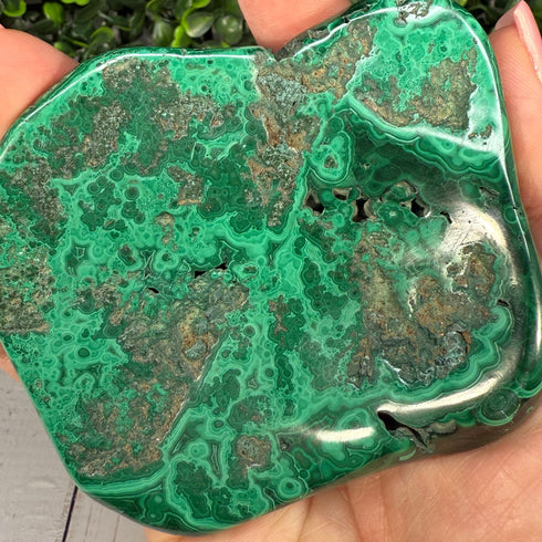 3.5" x 3" Malachite Slab—Polished & Natural specimens
