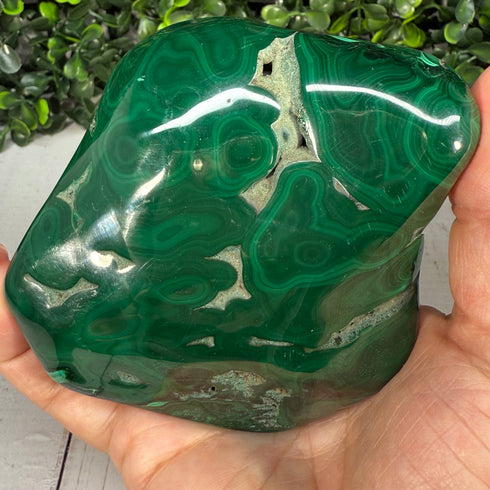3.5" x 3" Malachite Slab—Polished & Natural specimens