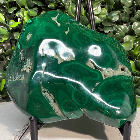 3.5" x 3" Malachite Slab—Polished & Natural specimens