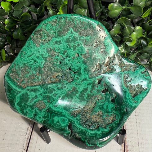 3.5" x 3" Malachite Slab—Polished & Natural specimens