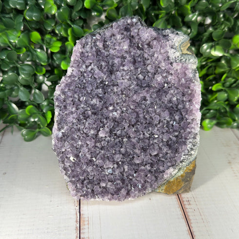 Amethyst Geode Cut Base 3.5" x 4.25" specimens