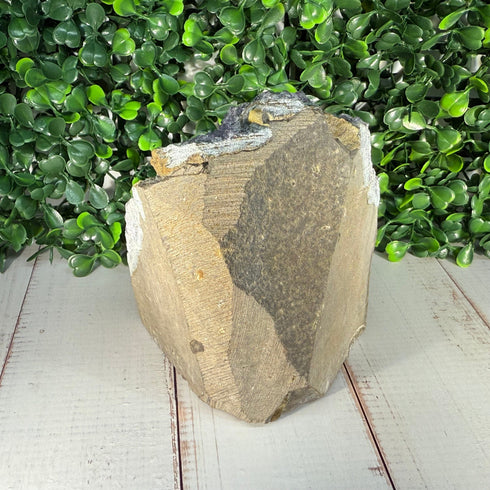 Amethyst Geode Cut Base 3.5" x 4.25" specimens