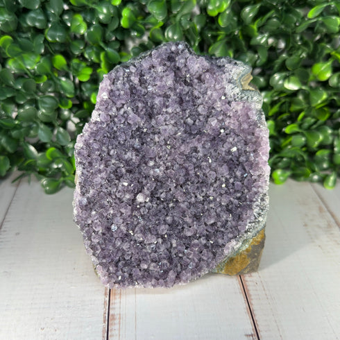 Amethyst Geode Cut Base 3.5" x 4.25" specimens