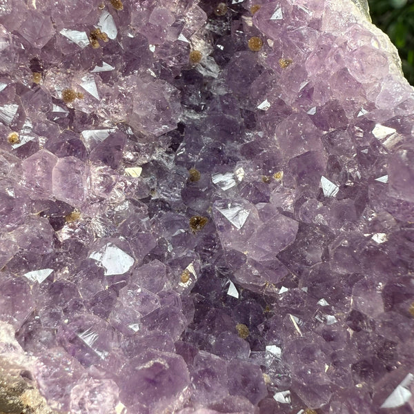 Amethyst-Goethite Geode—3.25" Self-Standing Wonder specimens