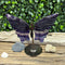 Beautiful Butterfly Rainbow Fluorite Carving Figurine specimens