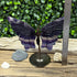 Beautiful Butterfly Rainbow Fluorite Carving Figurine specimens