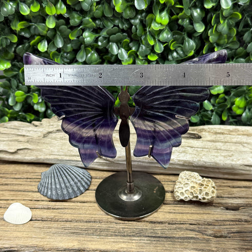Beautiful Butterfly Rainbow Fluorite Carving Figurine specimens