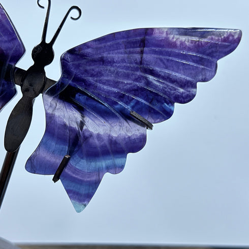 Beautiful Butterfly Rainbow Fluorite Carving Figurine specimens