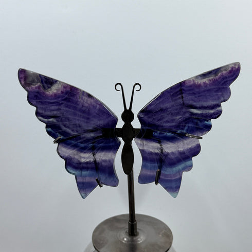 Beautiful Butterfly Rainbow Fluorite Carving Figurine specimens