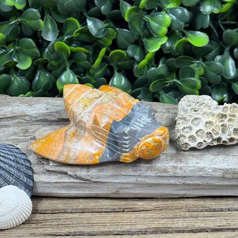 Bumblebee Jasper Carved Bees Have Landed! specimens