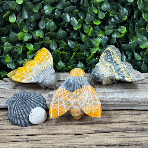 Bumblebee Jasper Carved Bees Have Landed! specimens