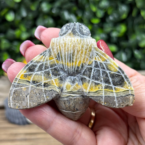 Bumblebee Jasper Carved Bees Have Landed! specimens