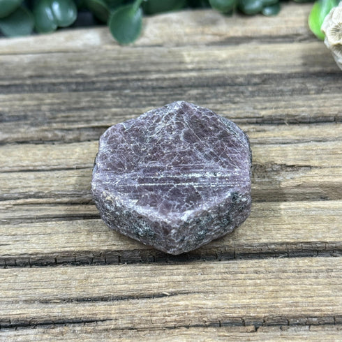 Buy Raw Ruby Crystal with Record Keepers from India | Natural Hexagonal Ruby Gemstone with Red Fluorescence specimens