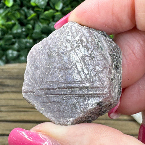 Buy Raw Ruby Crystal with Record Keepers from India | Natural Hexagonal Ruby Gemstone with Red Fluorescence specimens