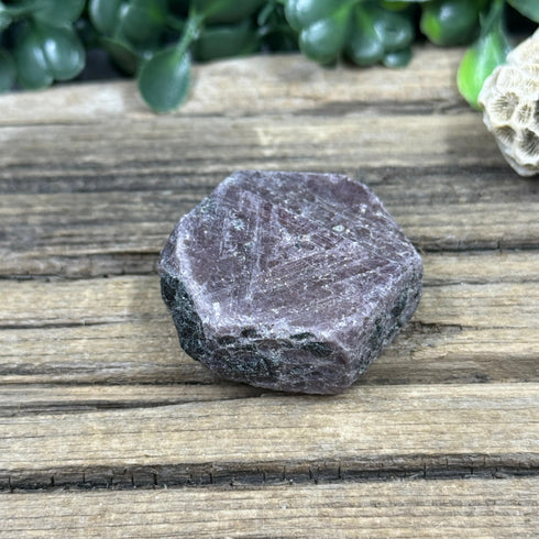 Buy Raw Ruby Crystal with Record Keepers from India | Natural Hexagonal Ruby Gemstone with Red Fluorescence specimens