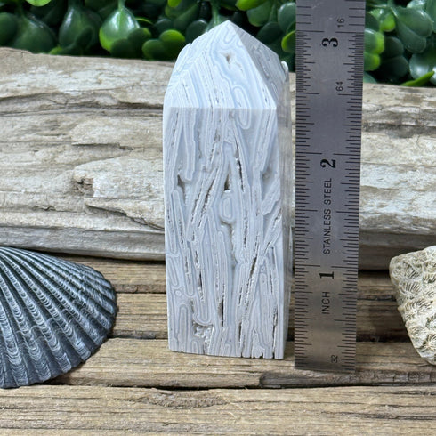 Crazy Lace Agate Towers: Gray Lines Never Looked So Good specimens