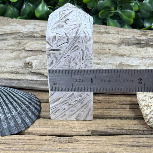 Crazy Lace Agate Towers: Gray Lines Never Looked So Good specimens